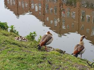 Annelies 07 Koningsdag